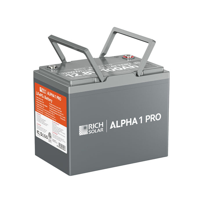Rich Solar ALPHA 1 PRO Image 3